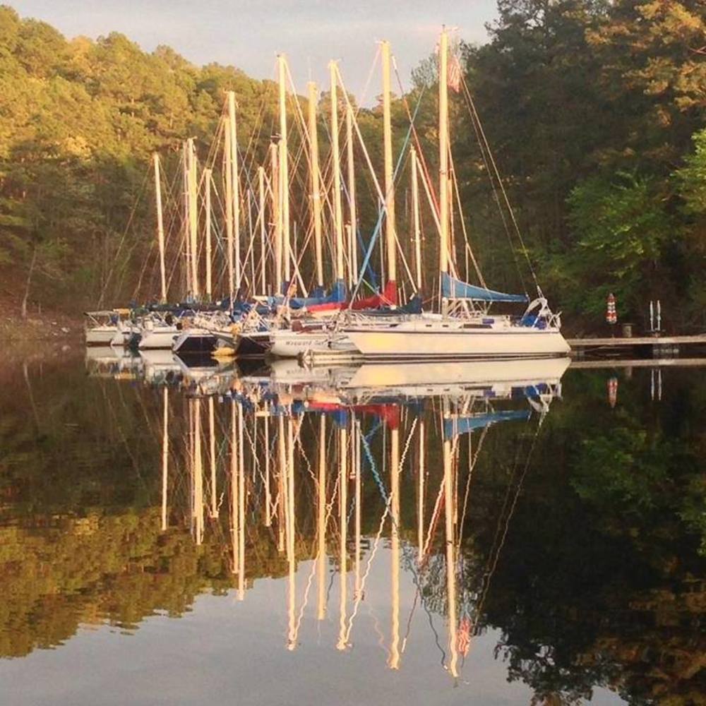 Meet your Posher, Mehrnaz